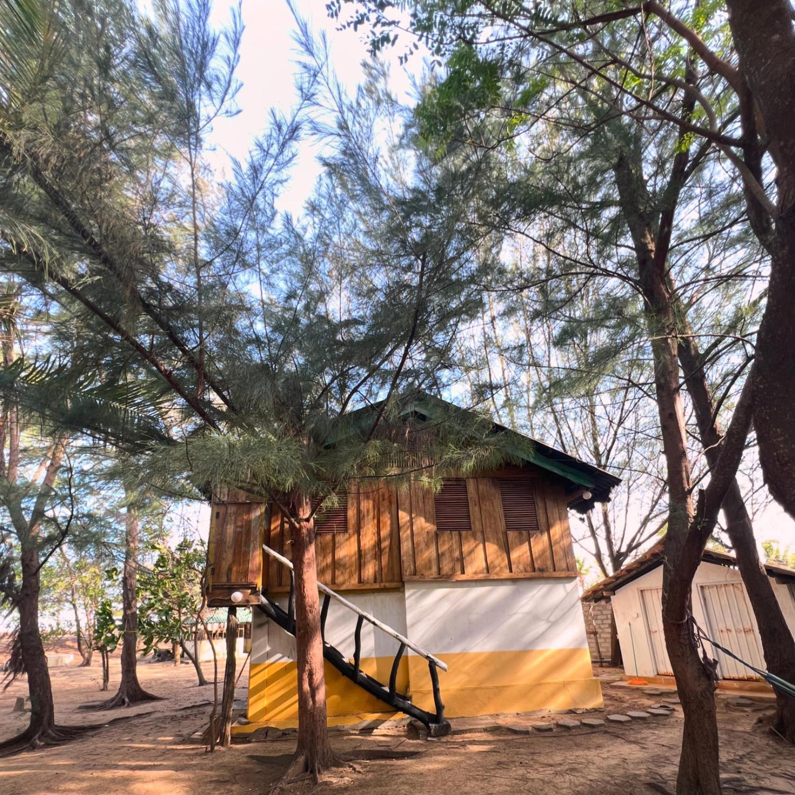 Sand Dune Beach Resort & Surf Camp Arugam Bay Zewnętrze zdjęcie