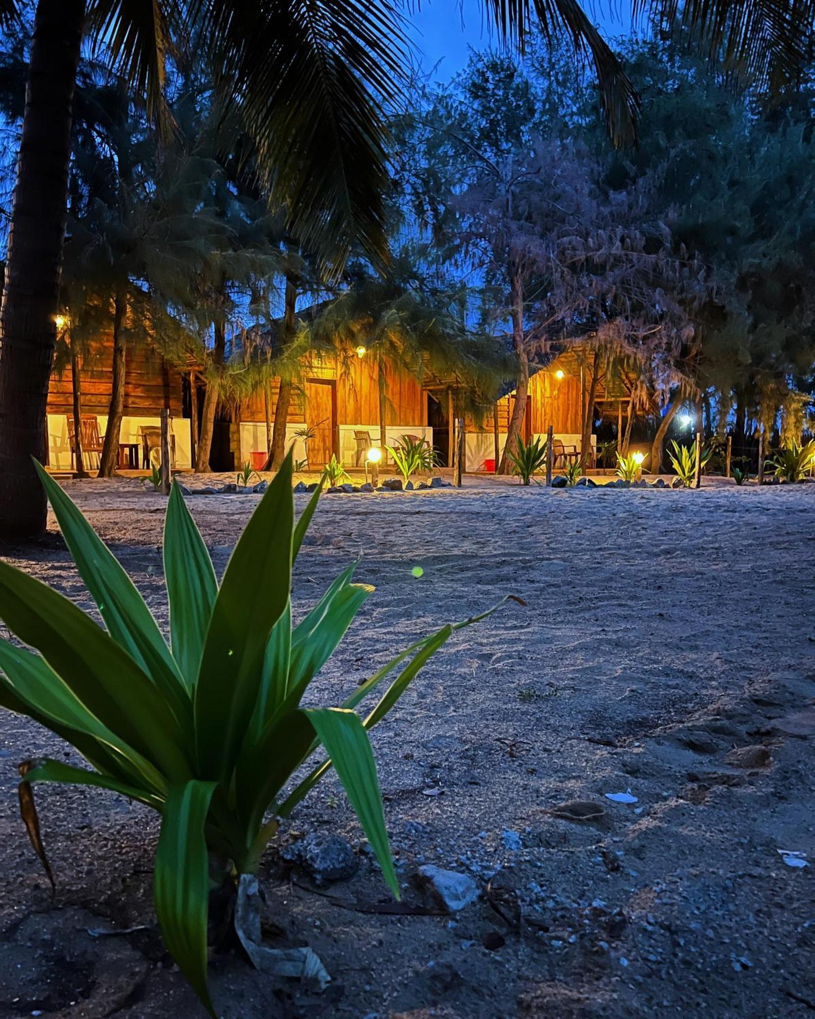 Sand Dune Beach Resort & Surf Camp Arugam Bay Zewnętrze zdjęcie