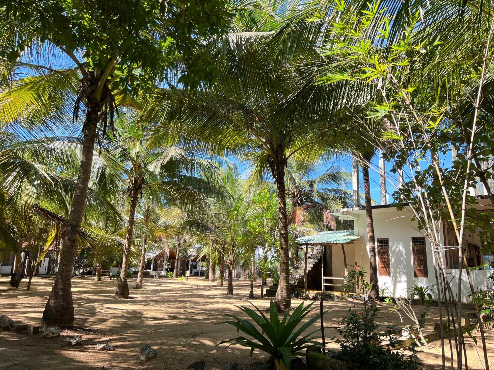 Sand Dune Beach Resort & Surf Camp Arugam Bay Zewnętrze zdjęcie