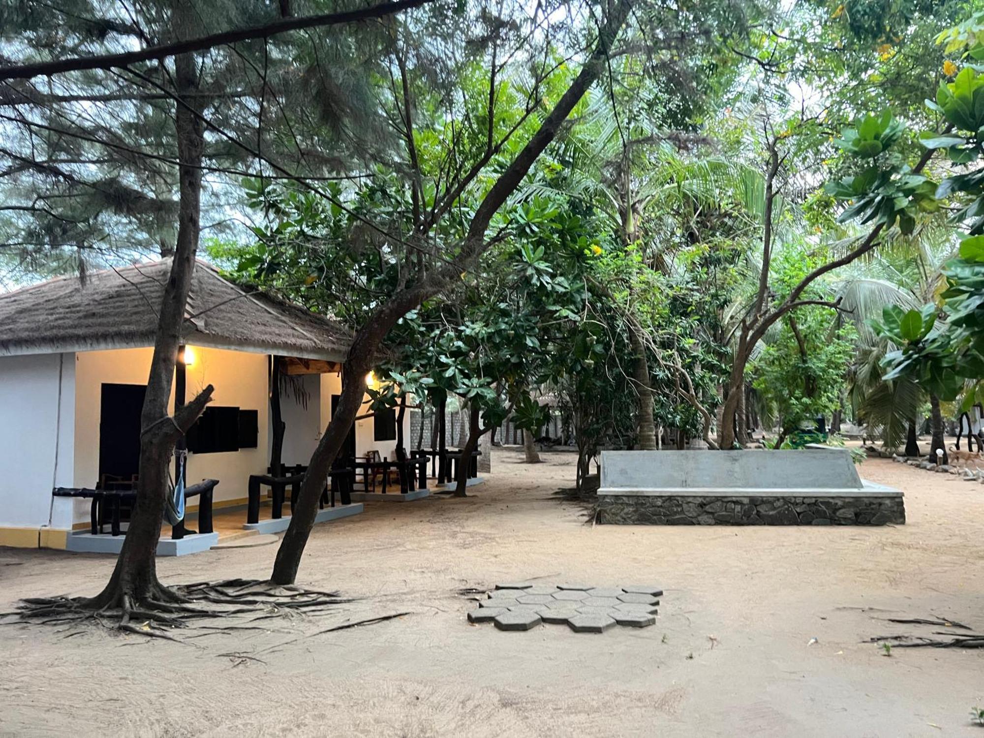 Sand Dune Beach Resort & Surf Camp Arugam Bay Zewnętrze zdjęcie
