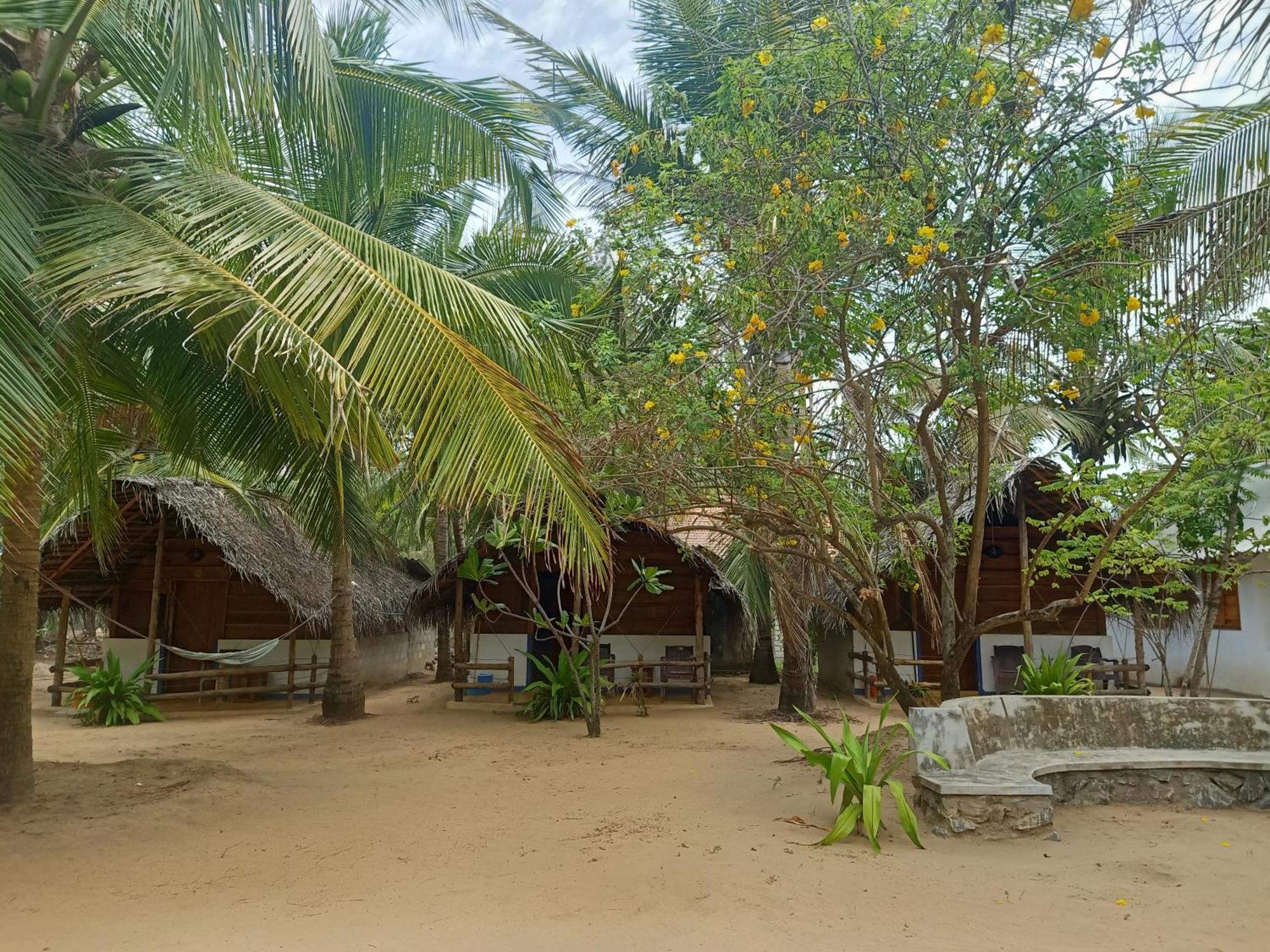 Sand Dune Beach Resort & Surf Camp Arugam Bay Zewnętrze zdjęcie