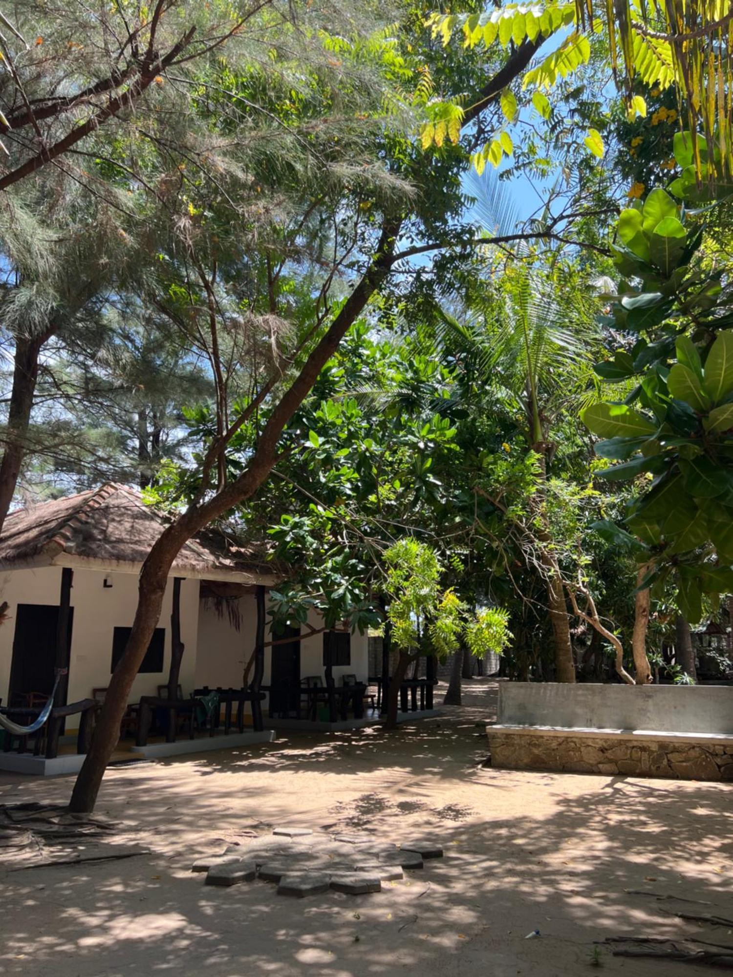 Sand Dune Beach Resort & Surf Camp Arugam Bay Zewnętrze zdjęcie